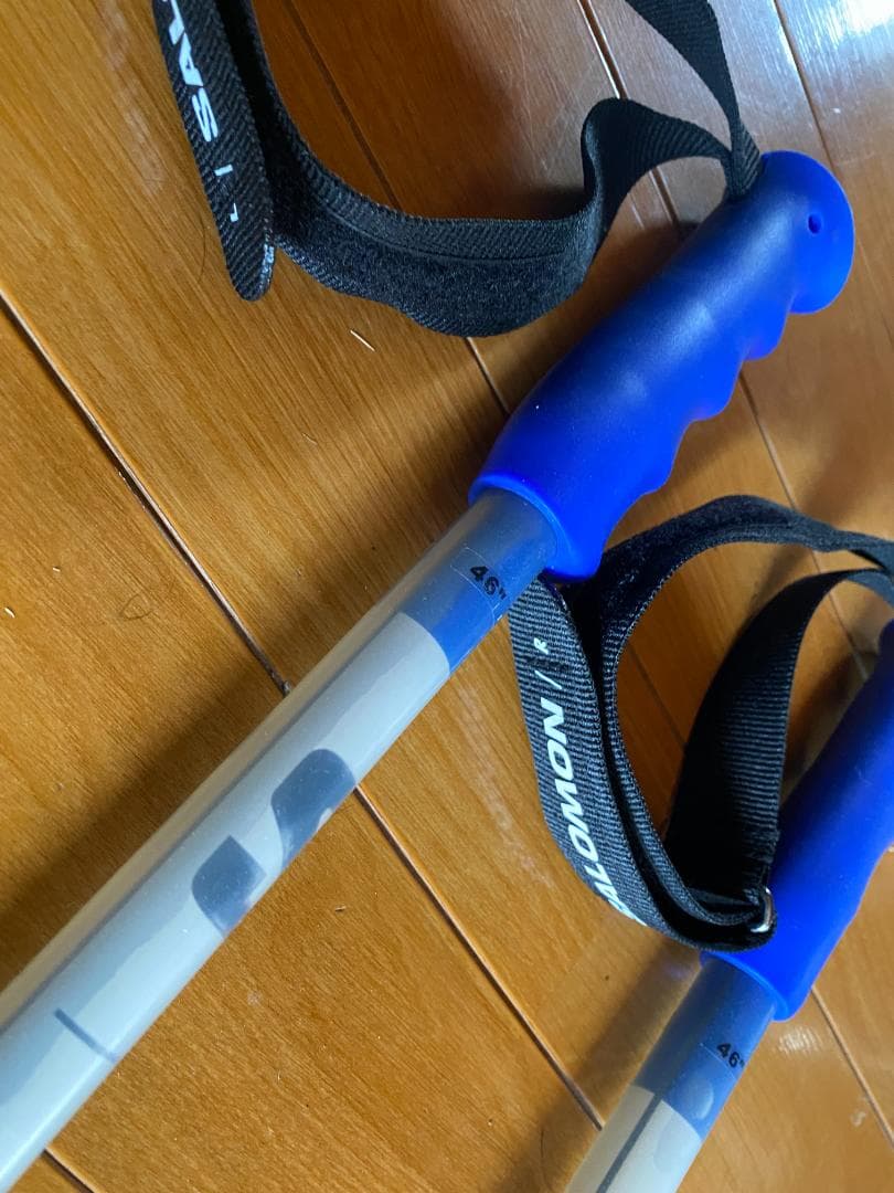 サロモン スキーストック S/RACE 24-25モデル115cm