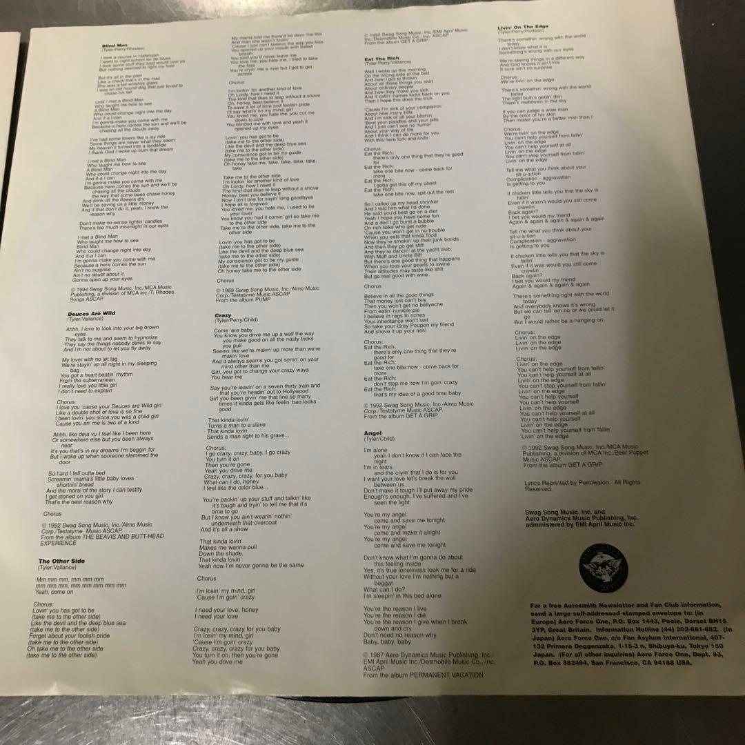 AERO SMITH. レコード2枚組み