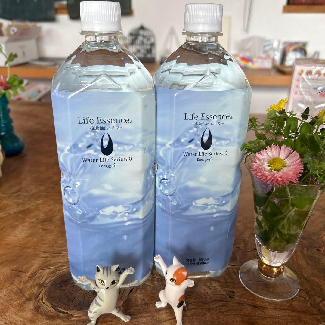 ECOウォーター　ライフエッセンス
