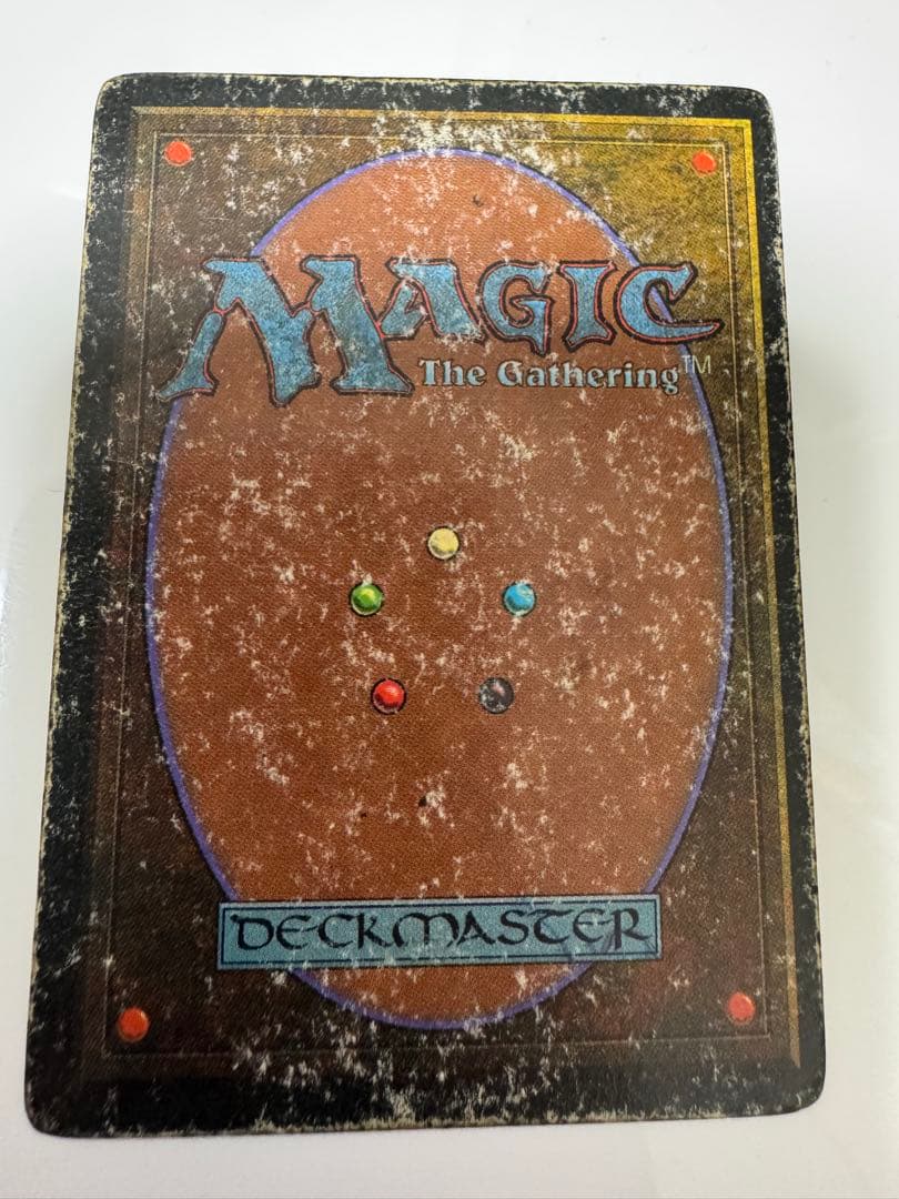 MTG Scrubland 英語版