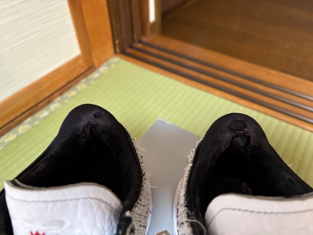 シューズ(男性用) LeBron 20 26.5cm