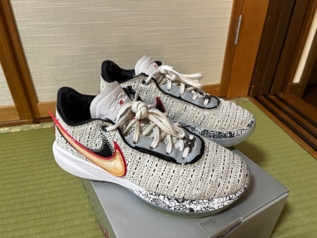 シューズ(男性用) LeBron 20 26.5cm