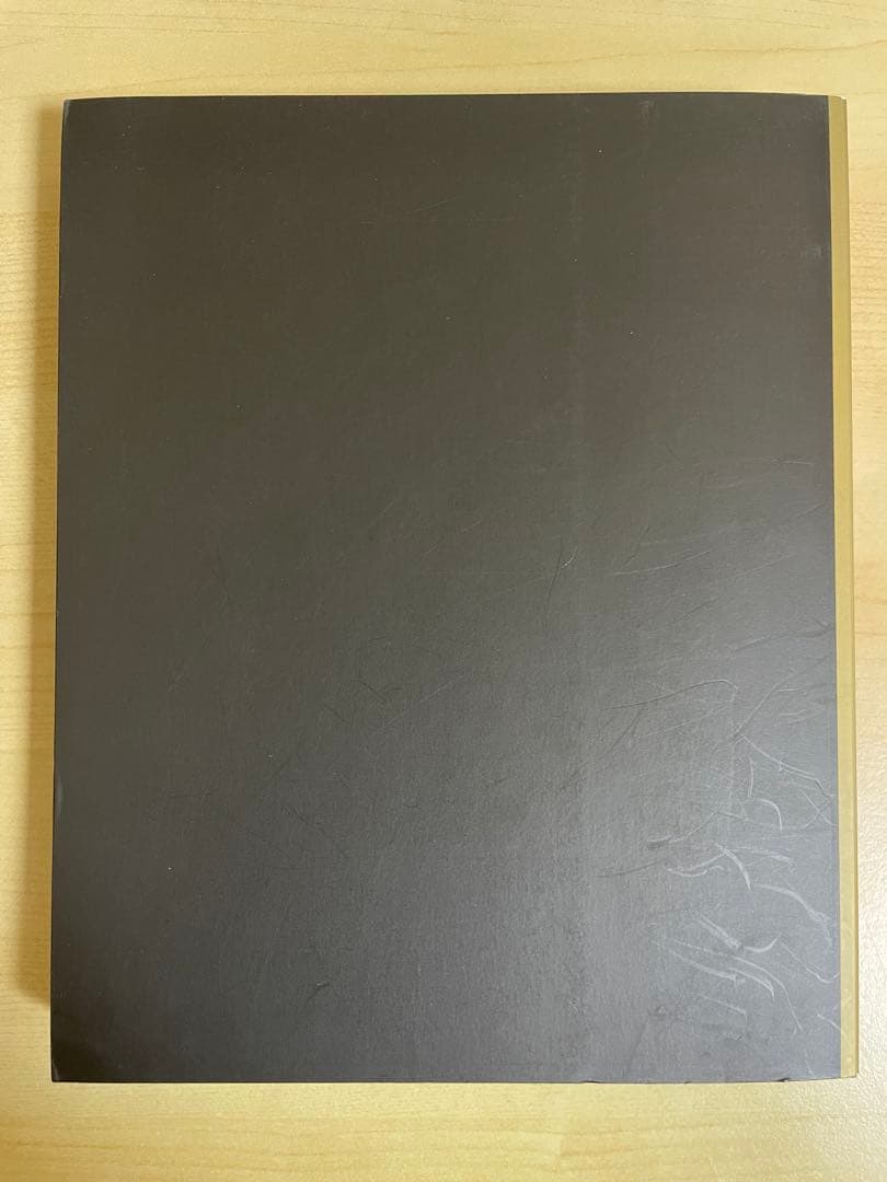 古屋誠一　Mémoires. 1984-1987