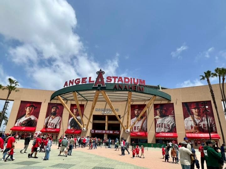 MVPおめでとう！Angels球場で購入した、大谷翔平公式Tシャツ
