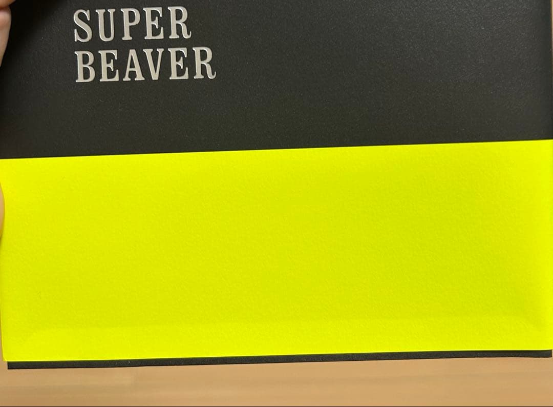 SUPER BEAVER あなたと生きることばたち