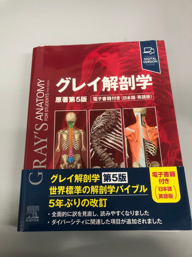 グレイ解剖学　原著第5版