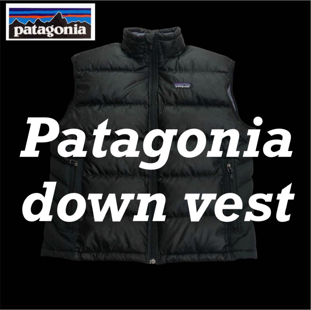 ダ*イ様 希少！廃盤Patagonia パタゴニアダックビルダウンベスト
