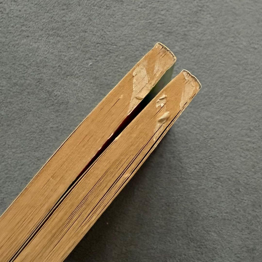 GHOSTS OF FEAR STREET R.L.STINEセット児童書 洋書