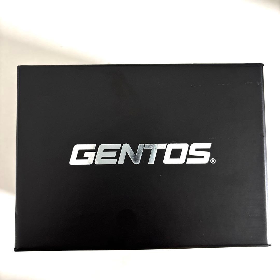 GENTOS GH-118RG ヘッドライト
