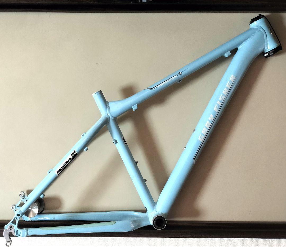 Gray Fisher Paragon 29 マウンテンバイクフレーム