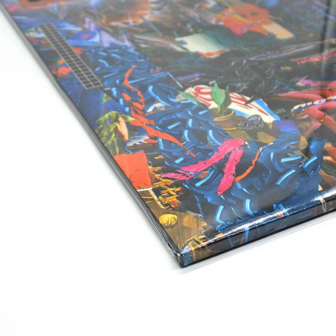 Black Midi - Cavalcade LP / 未使用