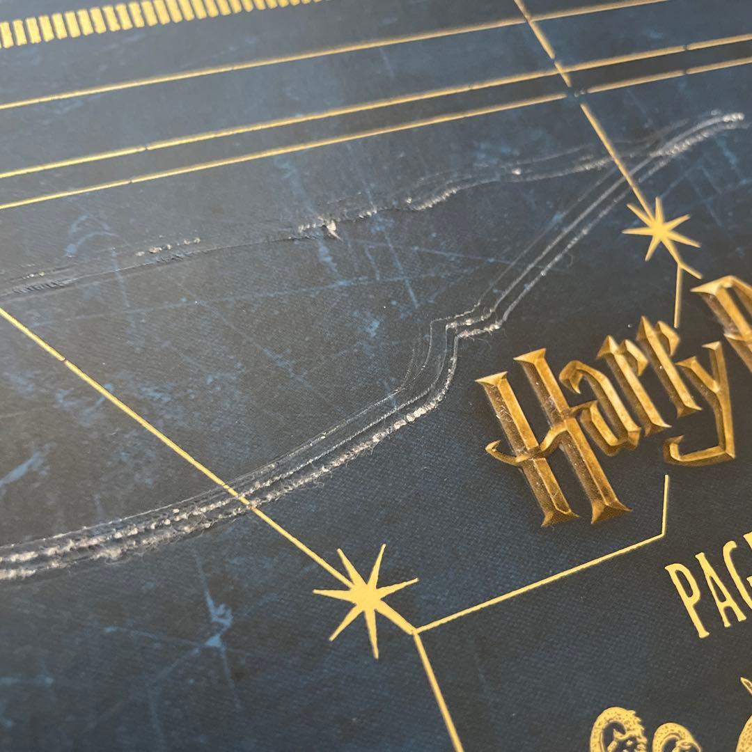 「Harry Potter: Page to Screen」Bob McCabe