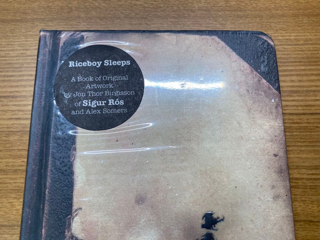 Riceboy Sleeps - jónsi & alex Art book