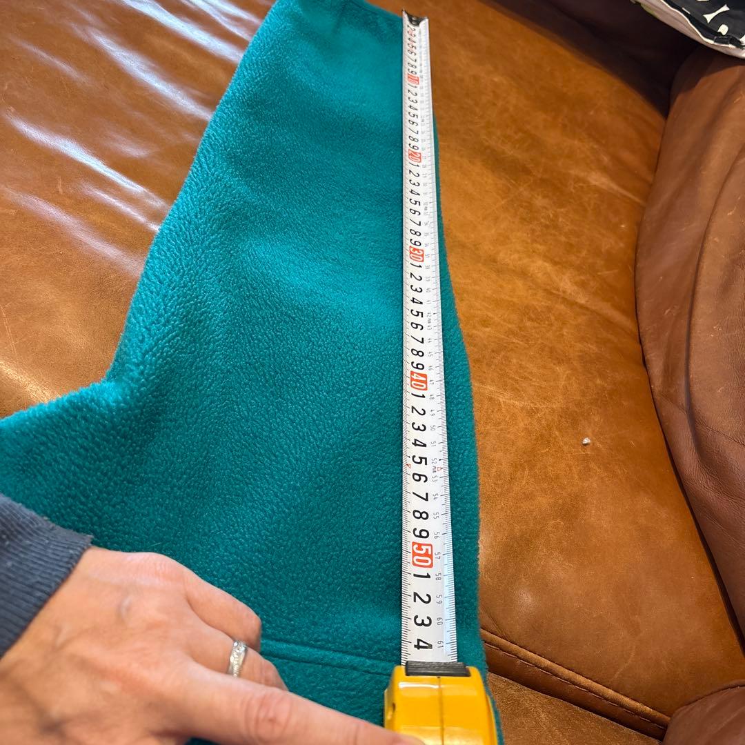 Patagonia スナップT