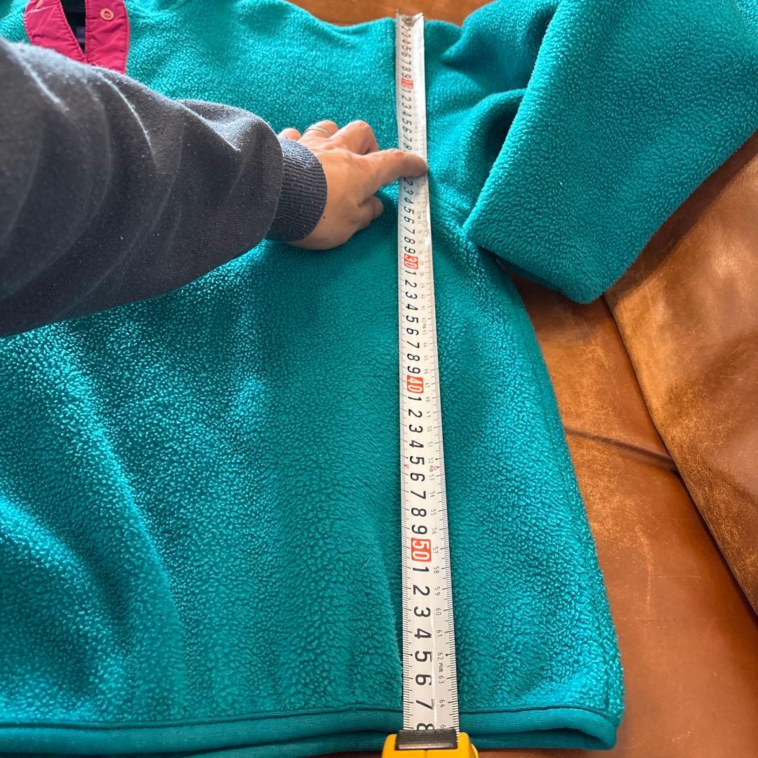 Patagonia スナップT
