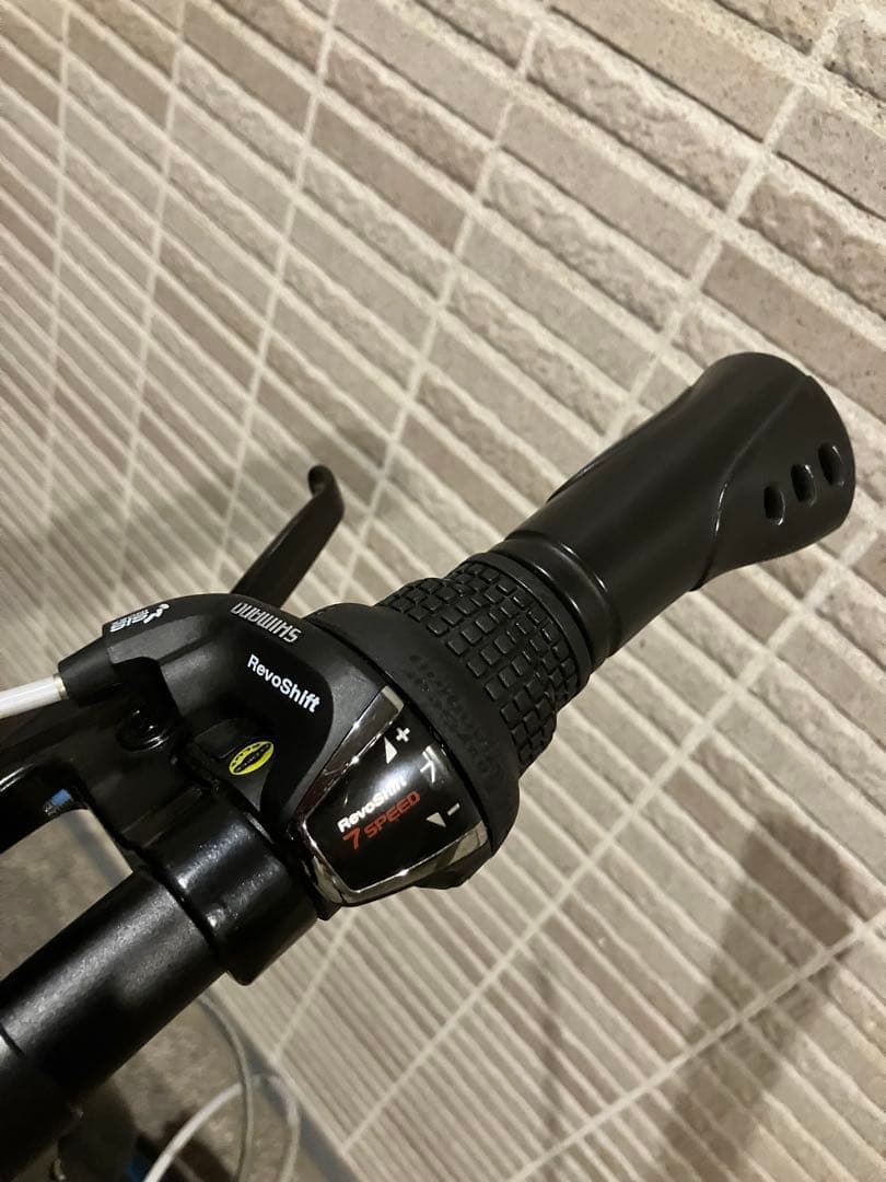 【こう】ルノー LIGHT10 折りたたみ自転車 20in 送料込！