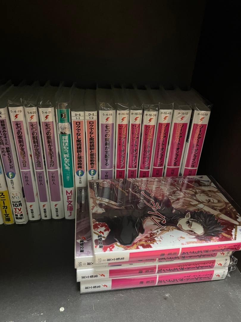 漫画　ラノベ　大量セット（値段は依頼）
