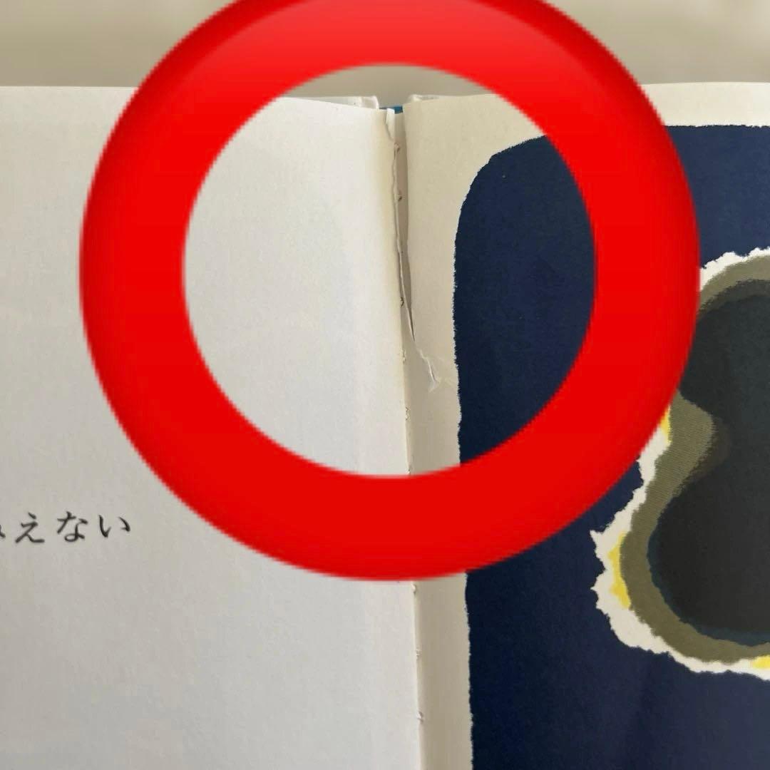 値下げ　絵本・児童書セット 31冊