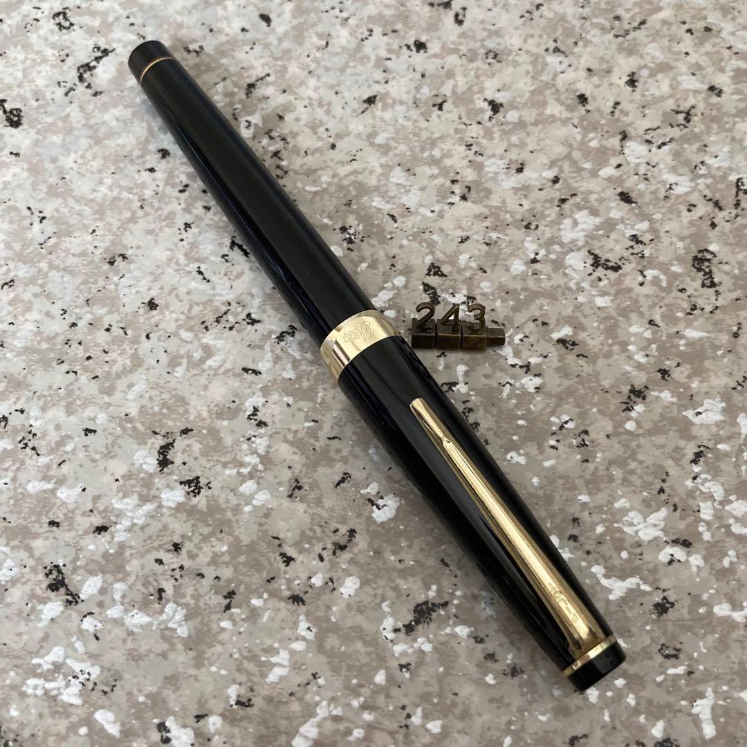 #243 オーバーホール済み 万年筆 PILOT Elite ロング18k