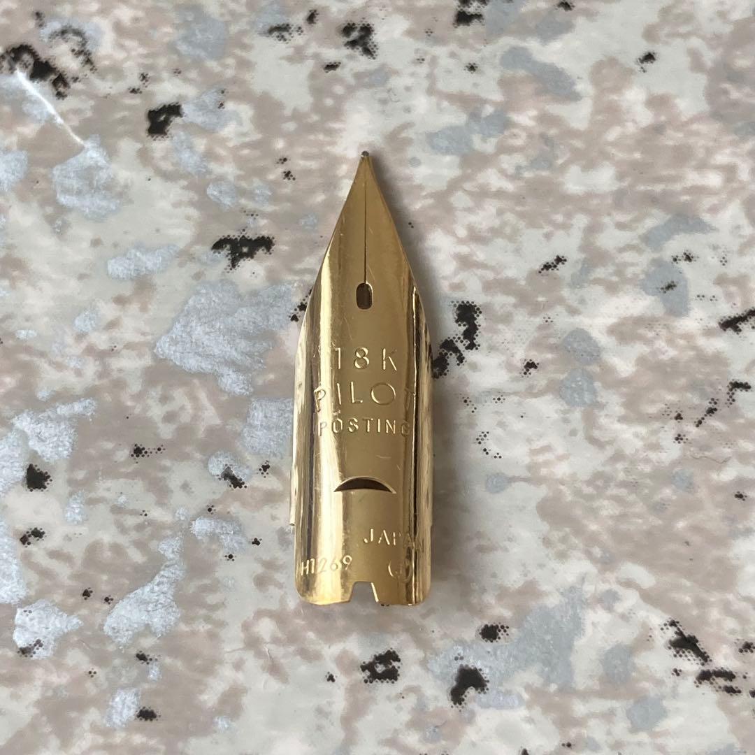 #243 オーバーホール済み 万年筆 PILOT Elite ロング18k