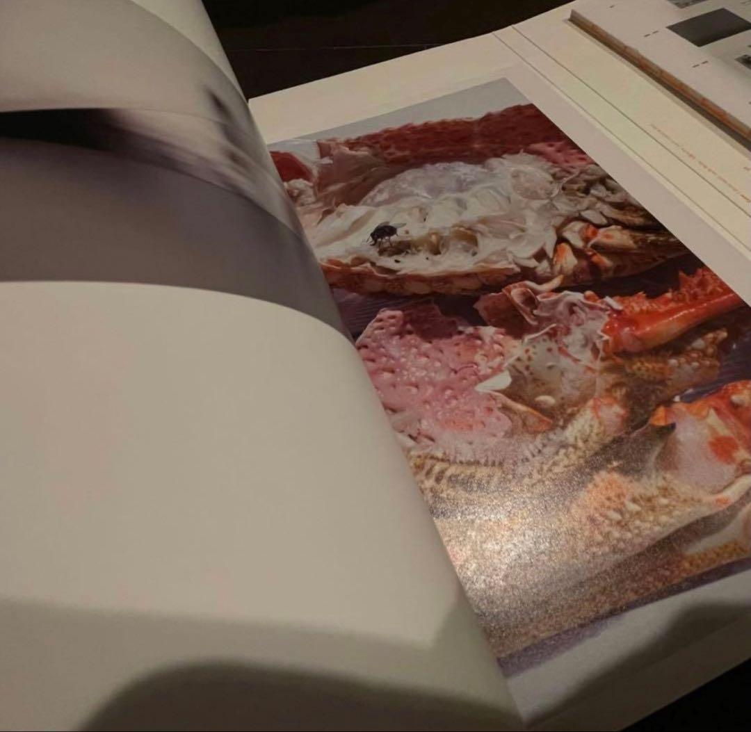 Wolfgang Tillmans 国立国際美術館 ティルマンス　図録　カタログ