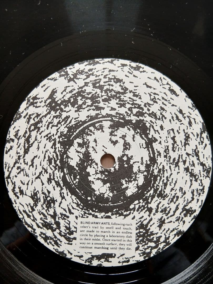 洋楽 Popular Mechanics - Insect Culture LP