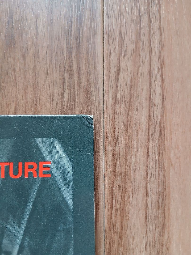 洋楽 Popular Mechanics - Insect Culture LP