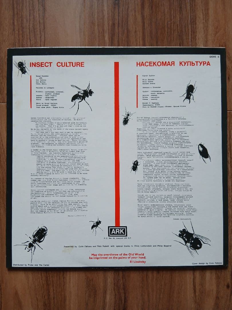 洋楽 Popular Mechanics - Insect Culture LP