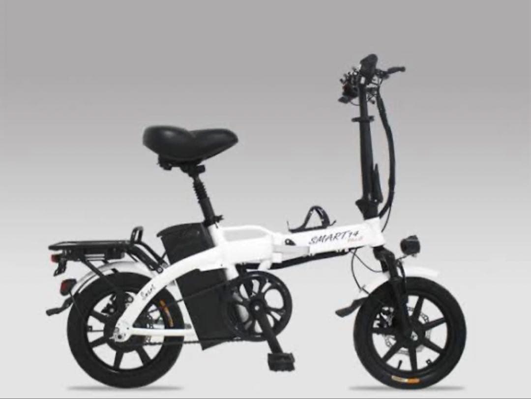 SMART 48V12ahバッテリー　充電器