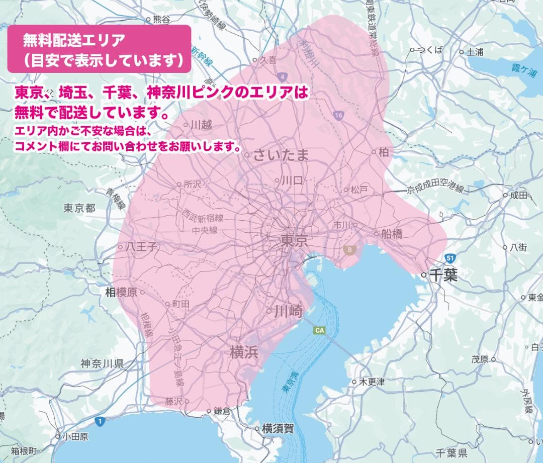 【PANASONIC】20インチ子供乗せ電動自転車ギュットNZ2984
