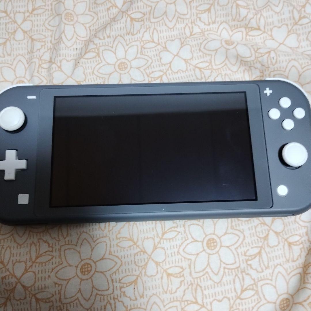 Nintendo Switch Lite 充電器差し込み部分が壊れています