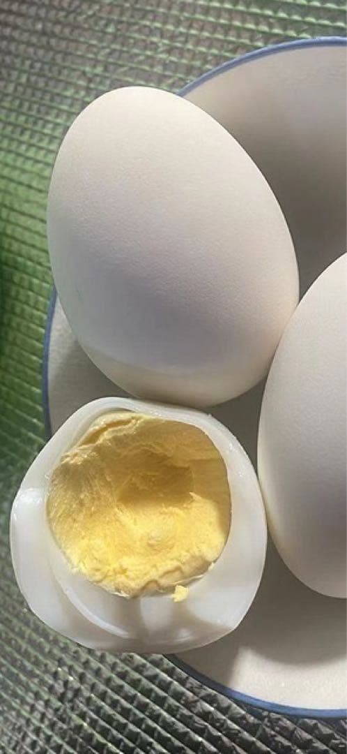 ガチョウの食用卵　10個セット