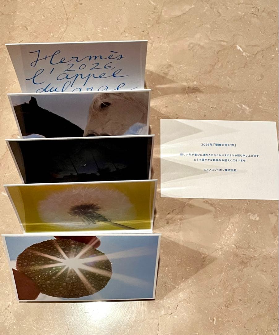 ♡HERMES♡2026 バーキン25 純正ボックス セット エルメス 箱 紙袋