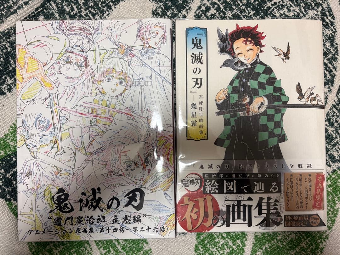 鬼滅の刃 画集とアニメーション原画集（立志編）