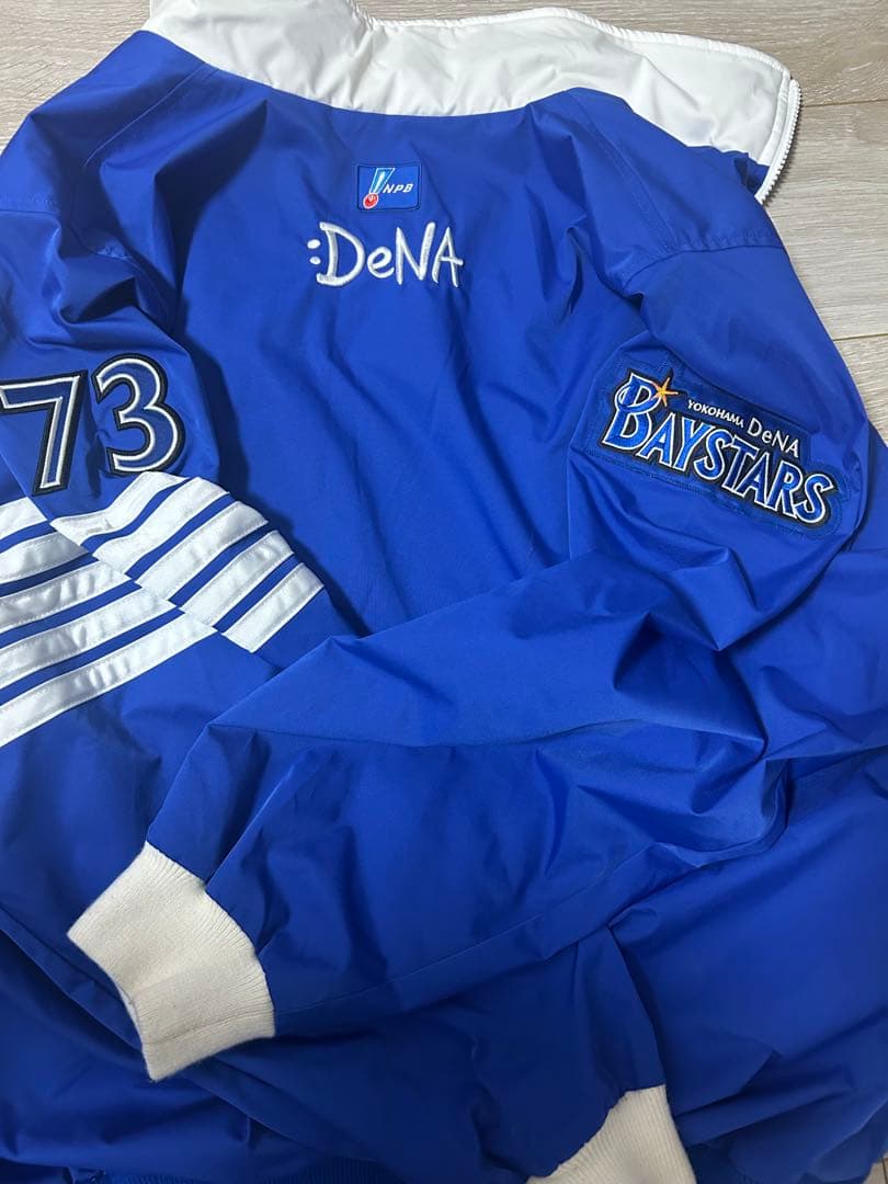 横浜DeNAベイスターズ