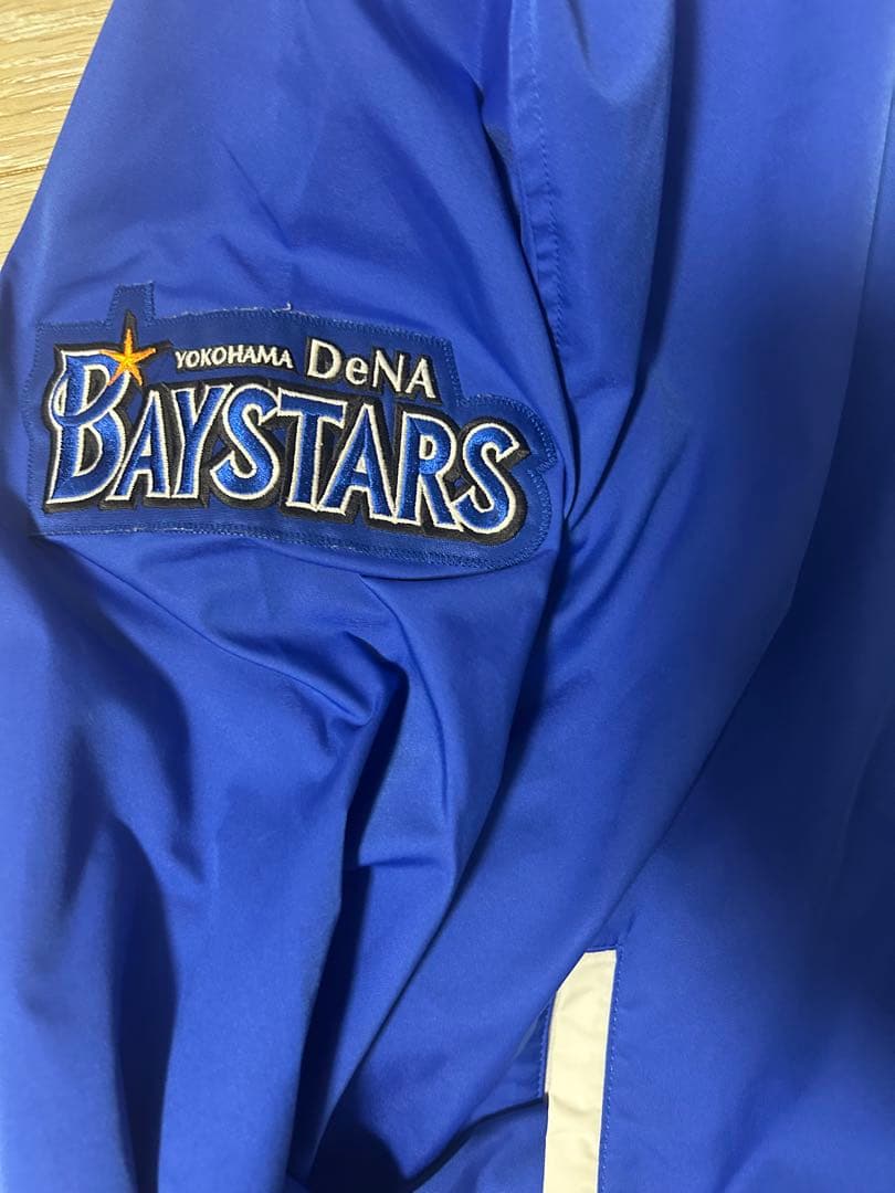 横浜DeNAベイスターズ