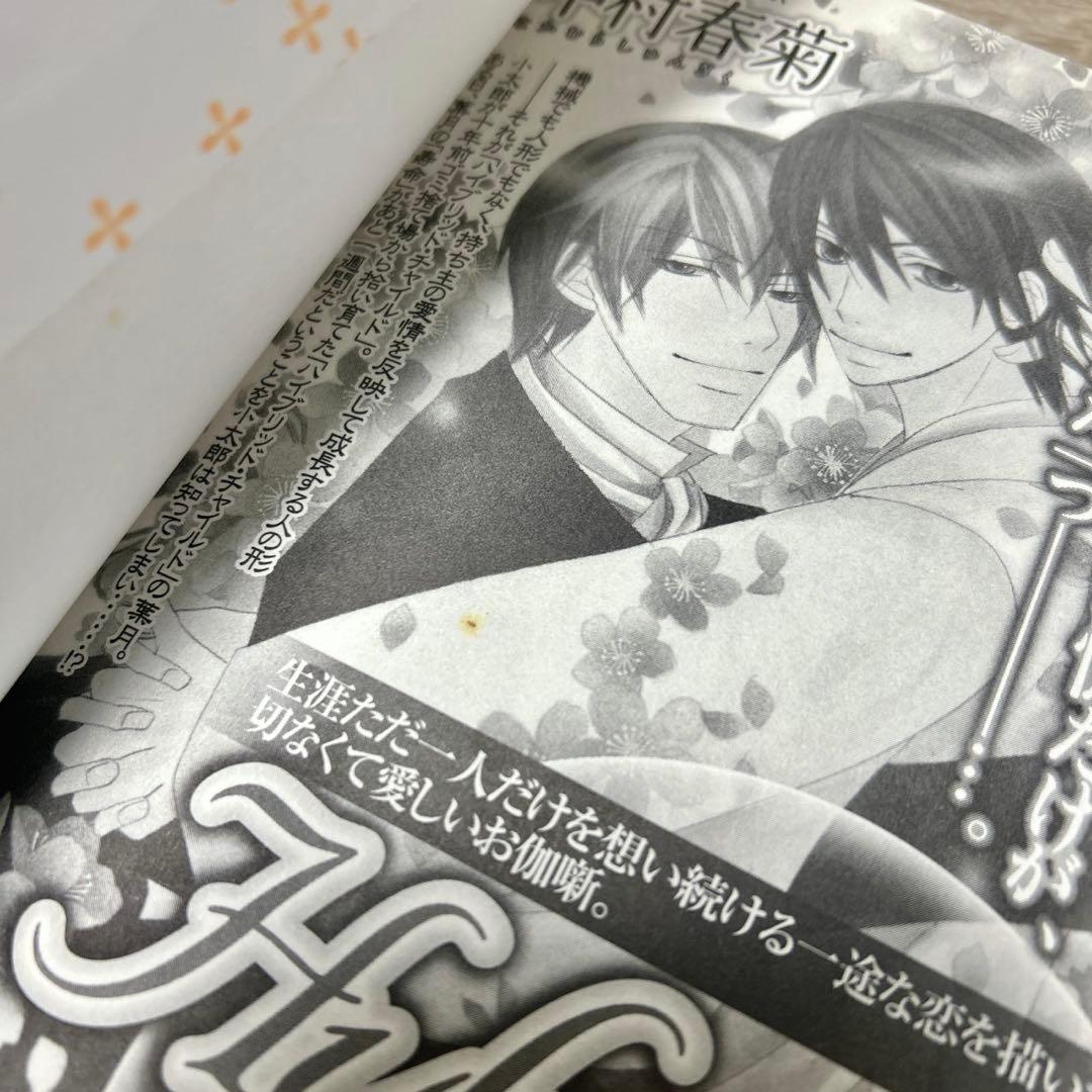世界一初恋　1〜19巻　中村春菊
