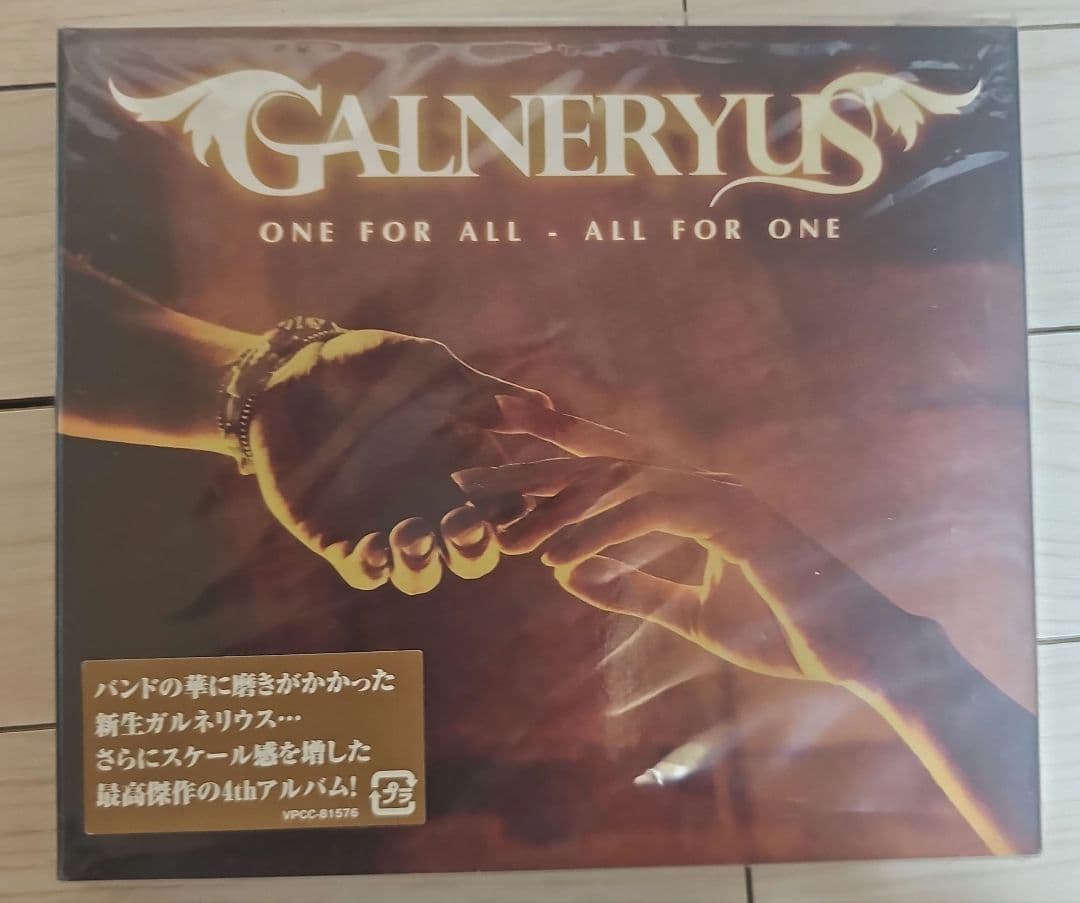 GALNERYUS/CD10枚　DVD3枚(ワンオーナー品)
