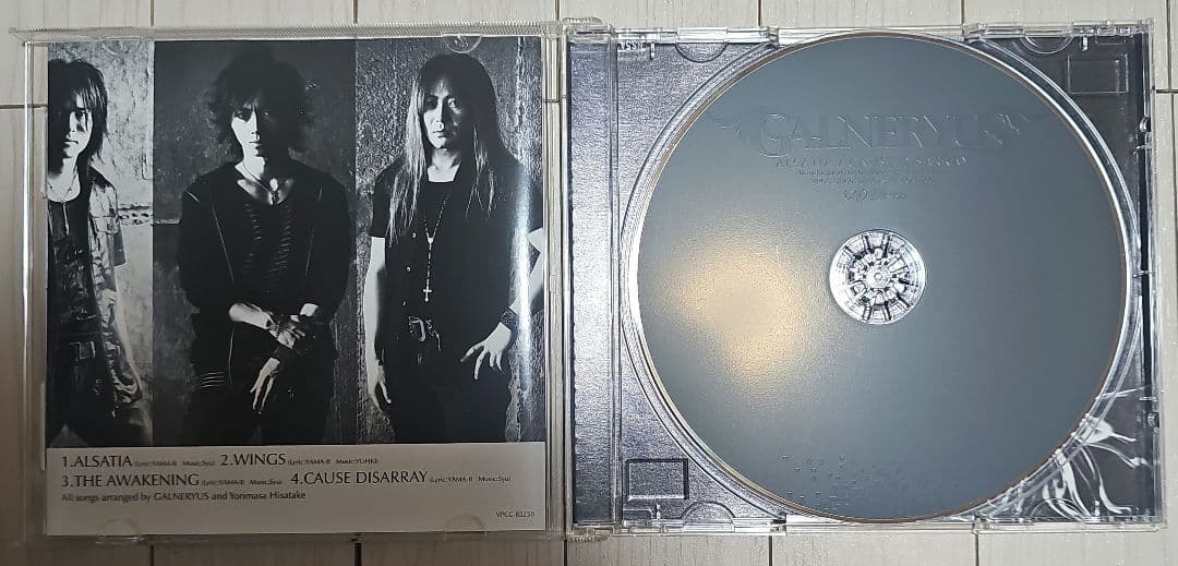 GALNERYUS/CD10枚　DVD3枚(ワンオーナー品)