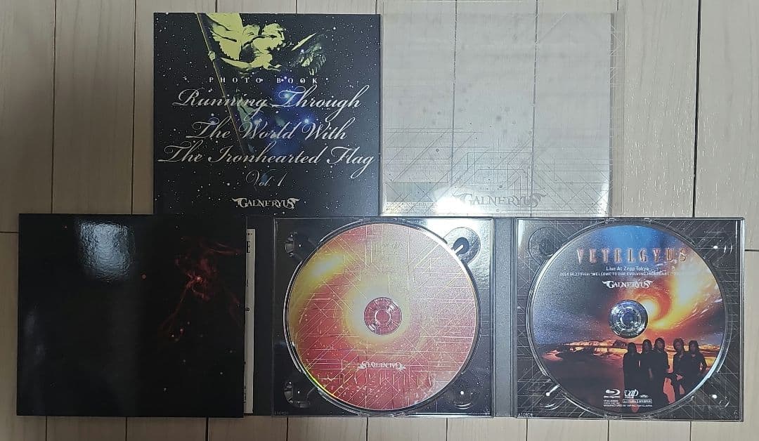 GALNERYUS/CD10枚　DVD3枚(ワンオーナー品)