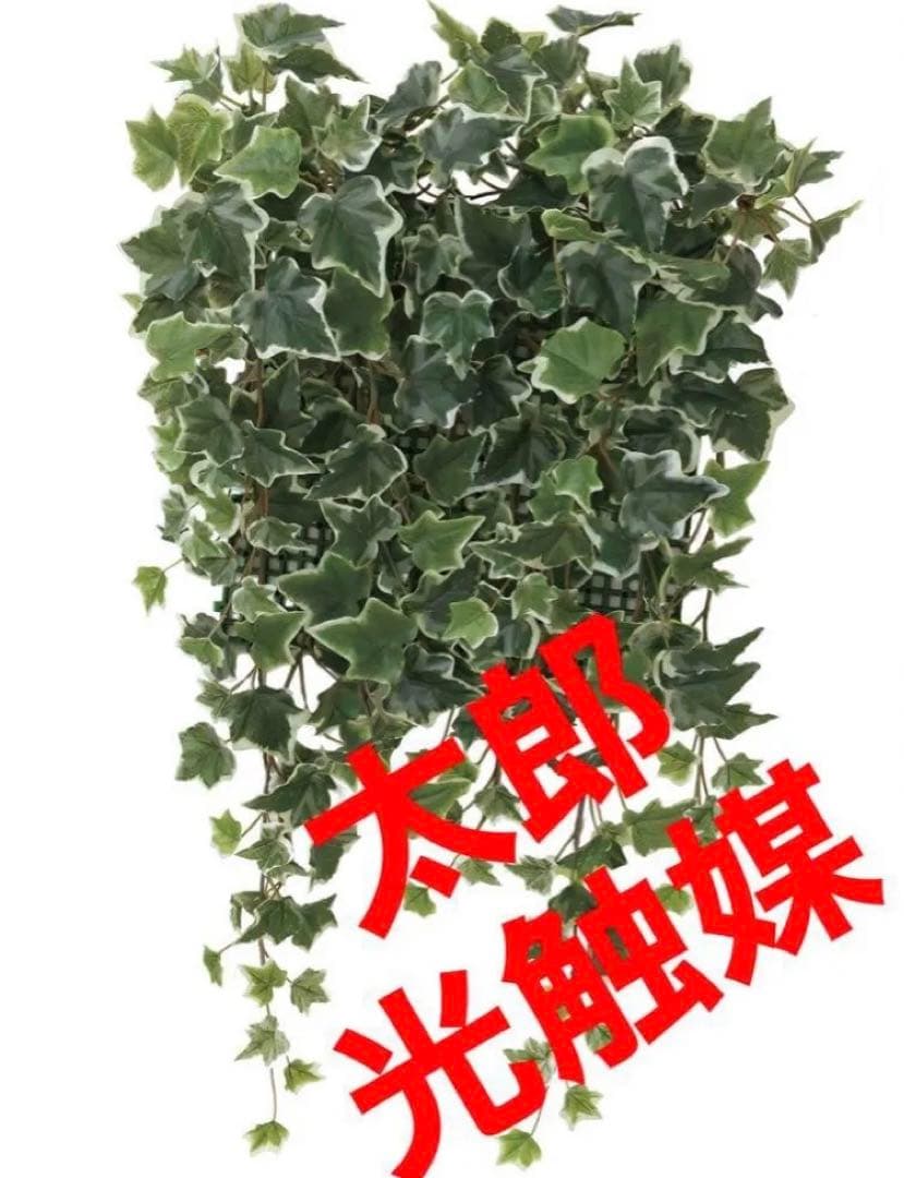 光触媒　人工観葉植物　フェイクグリーン　壁掛け　壁面緑化斑入アイビー