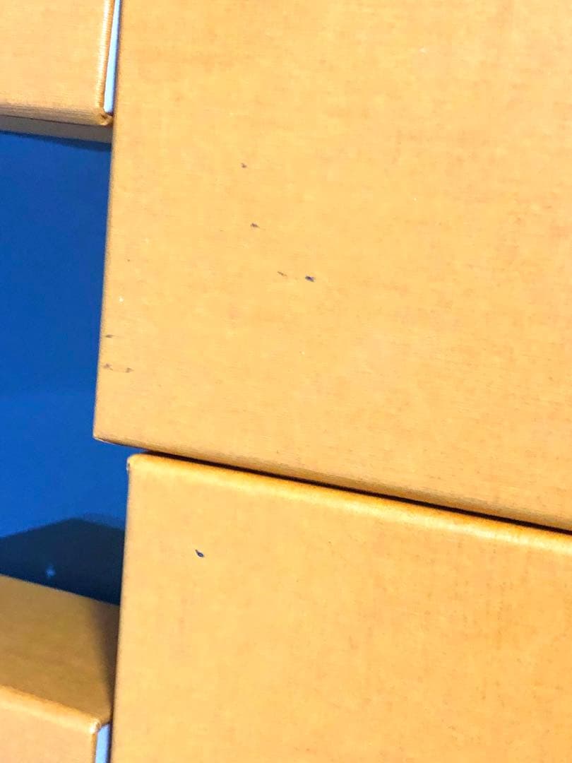 最終価格　ルイヴィトン　アクセサリー保存袋　アクセサリー空箱
