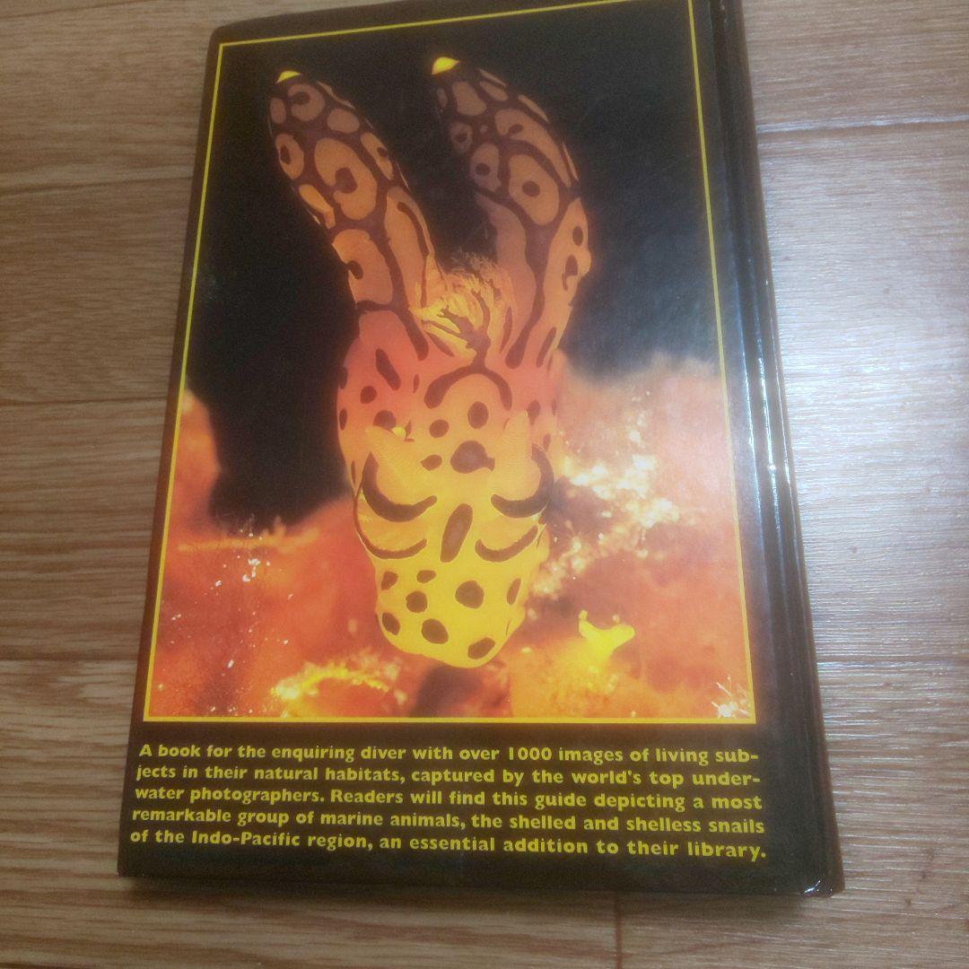 NUDIBRANCHS AND SEA SNAILS ウミウシ ガイド 洋書