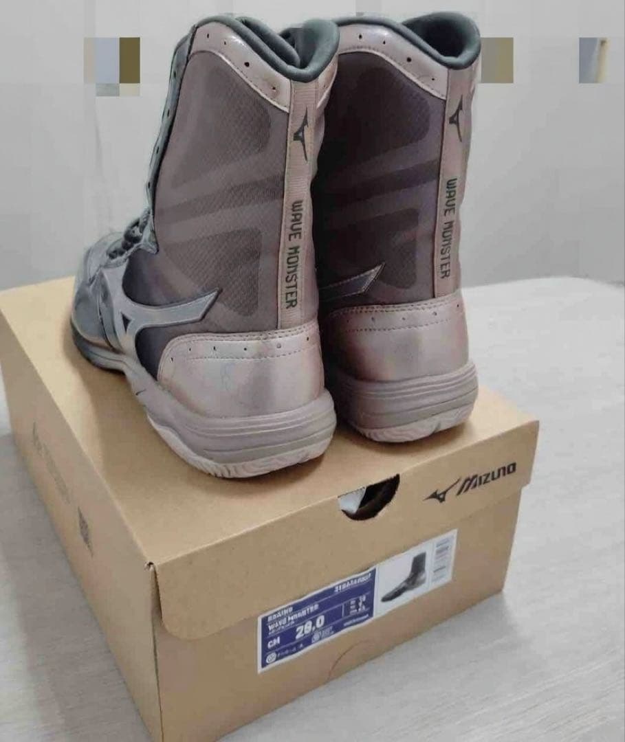 ミズノ（MIZUNO）ウエーブモンスター （ボクシング) 28cm
