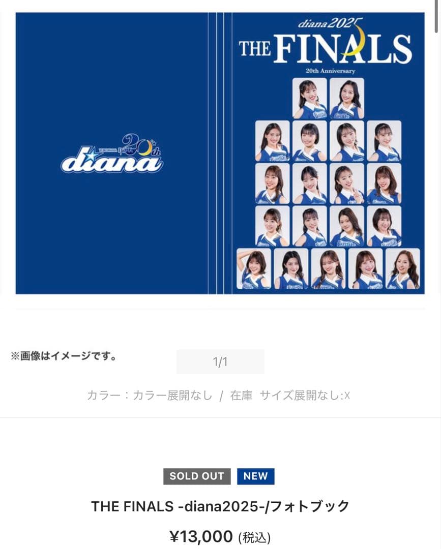 THE FINALS -diana2025-/フォトブック
