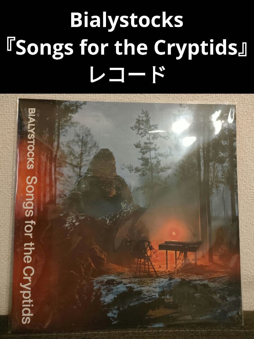 激レア!新品!Bialystocks『Songs for the…』　甫木元空