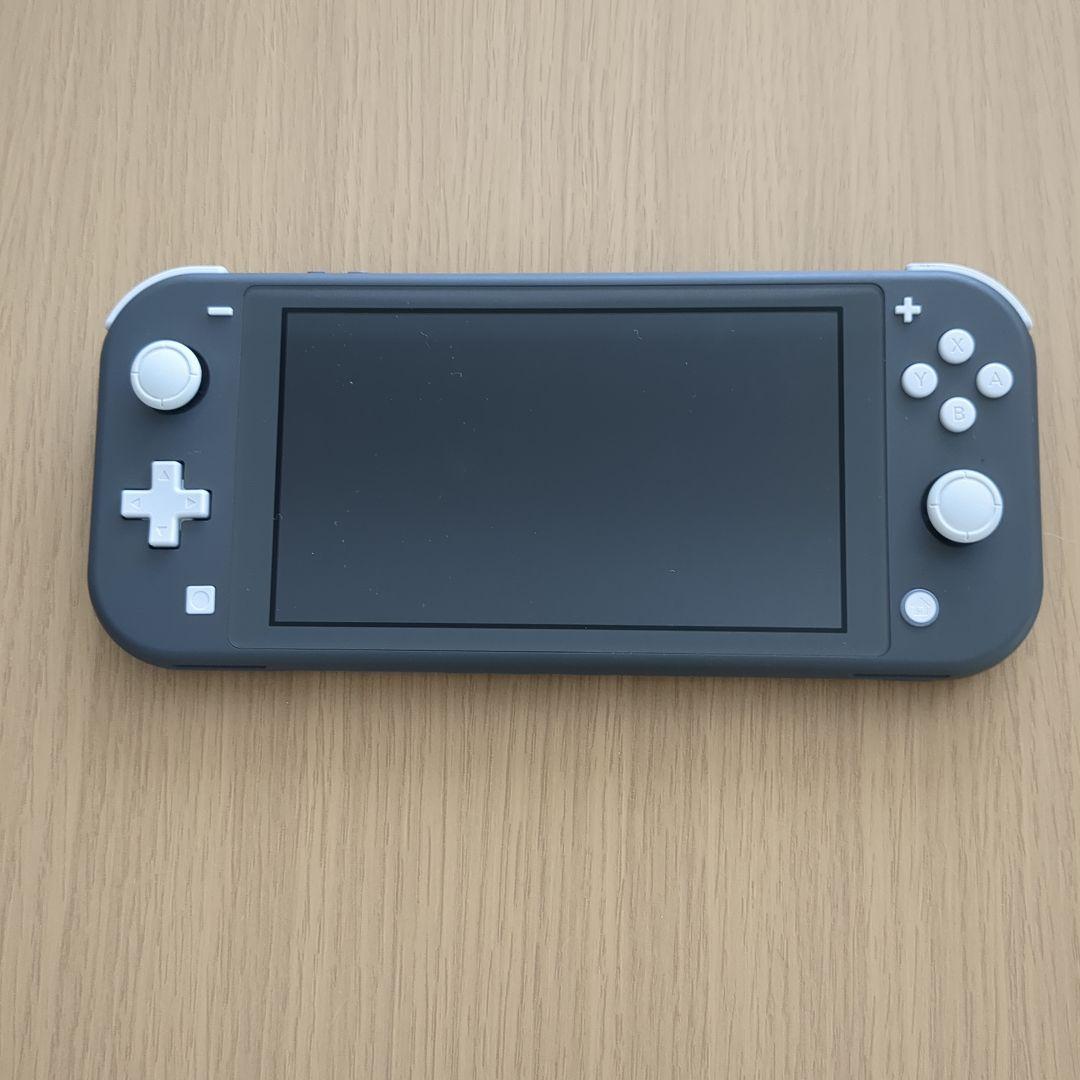 Nintendo Switch Lite グレー PIKMINケース付き