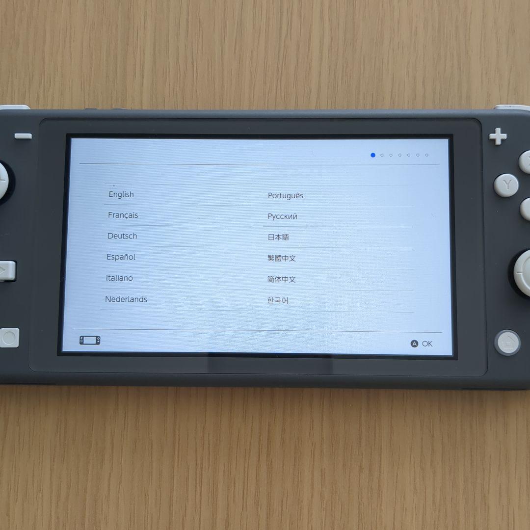 Nintendo Switch Lite グレー PIKMINケース付き