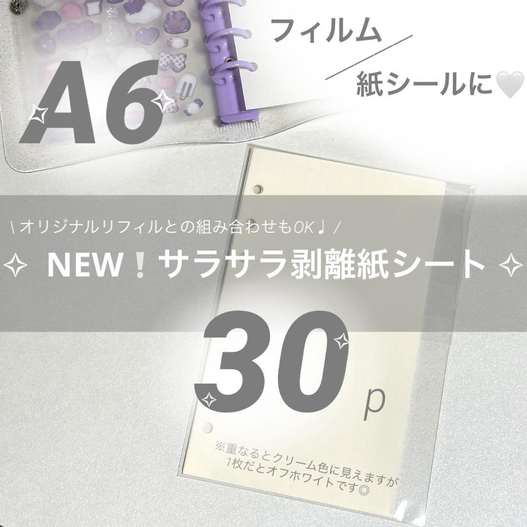 専用ページ✧
