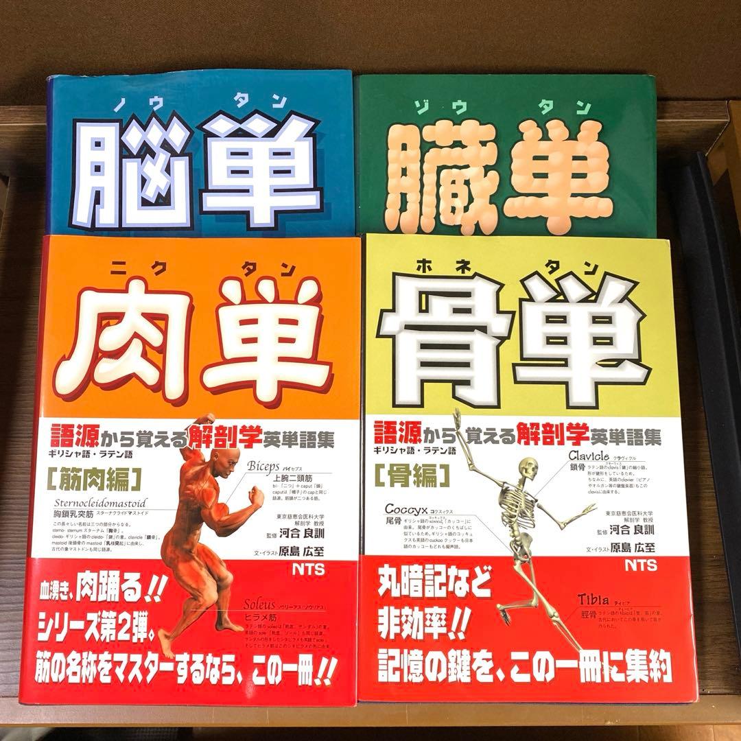解剖学単語シリーズ 4冊セット　肉単　骨単　臓単　脳単